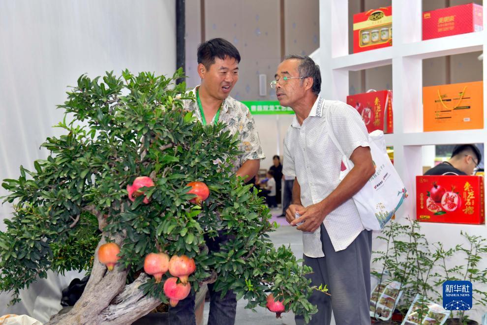 满贯捕鱼安卓