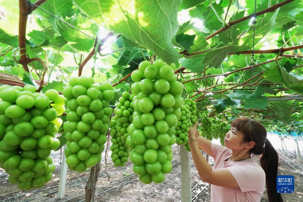 太阳集团娱乐网8722